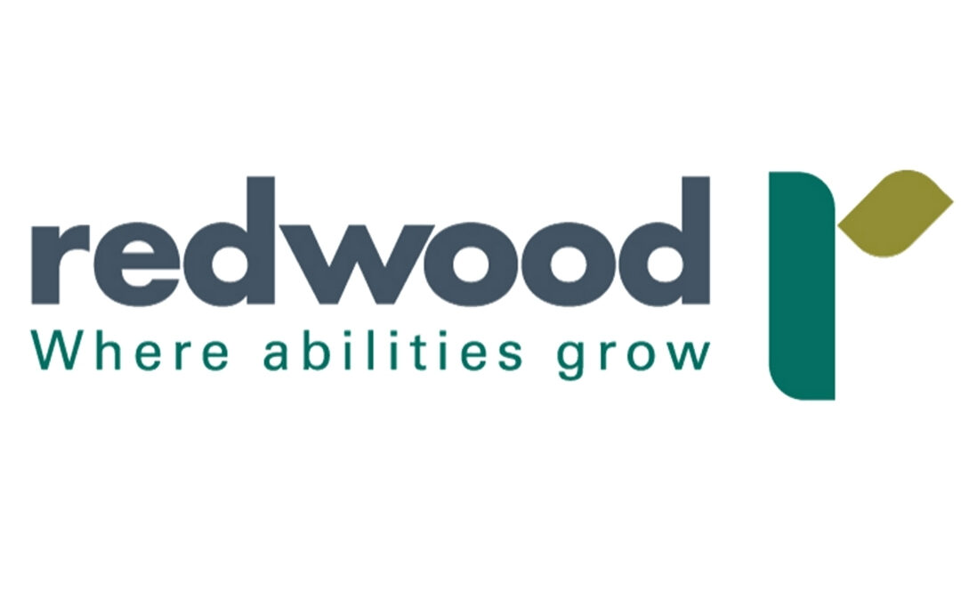 Non-Profit Spotlight: Redwood